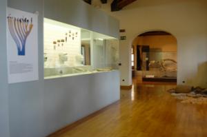 sala evoluzione uomo