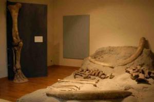 11_mammut_2