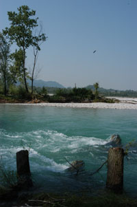 piave4